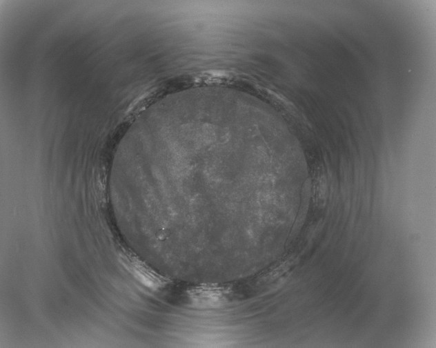 X0000078310661200611172216