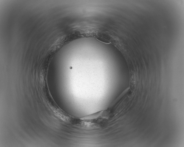 X0000078310662200611172216