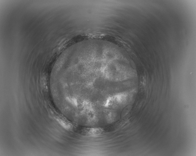 X0000078310663200611172216