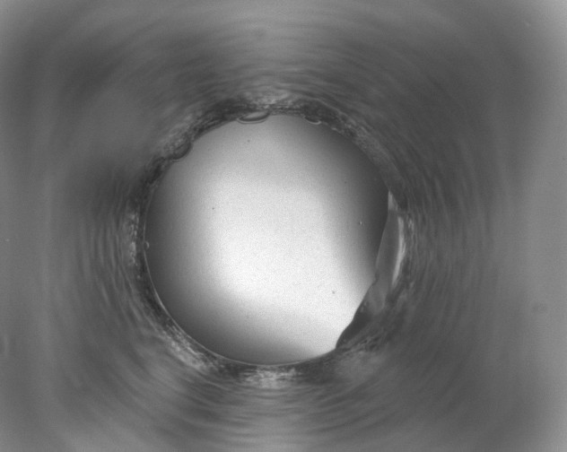 X0000078310664200611172216