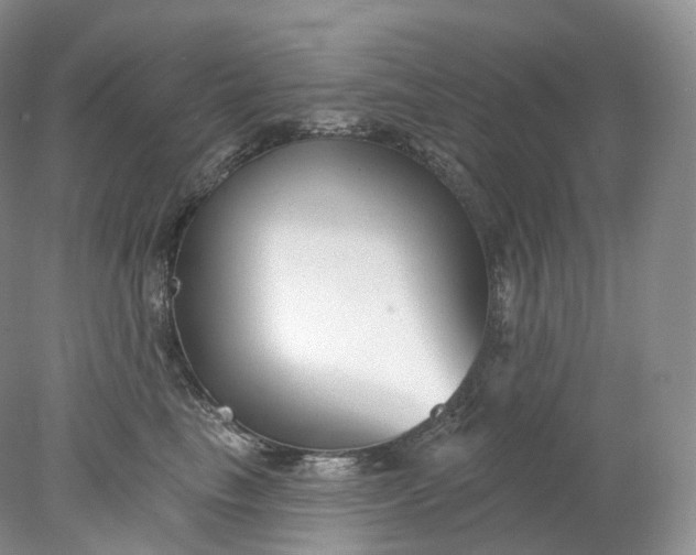 X0000078310665200611172216