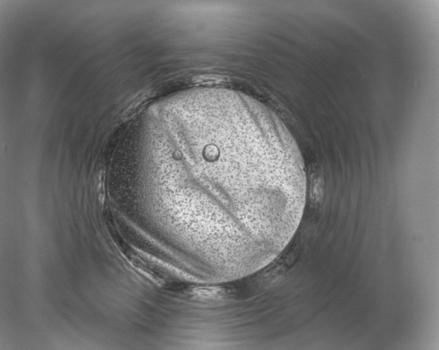 X0000078310666200611172216