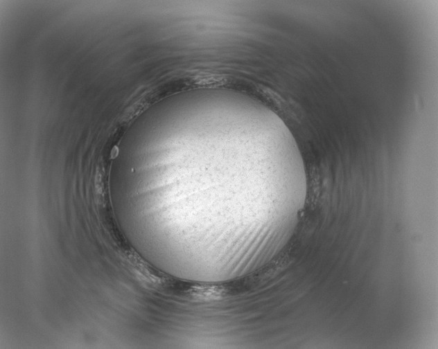 X0000078310667200611172216