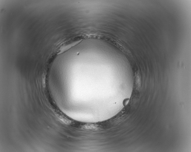 X0000078310668200611172216