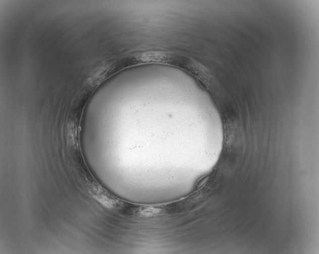 X0000078310669200611172216