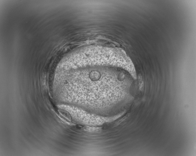 X0000078310670200611172216