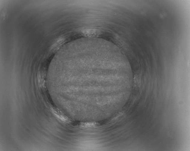 X0000078310671200611172216