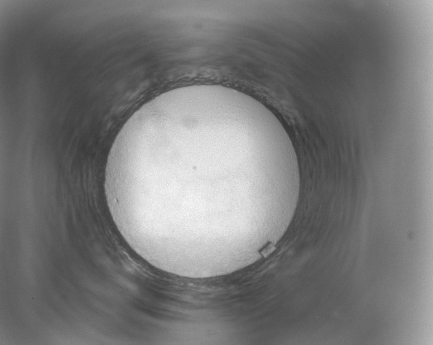 X0000078310672200611172216