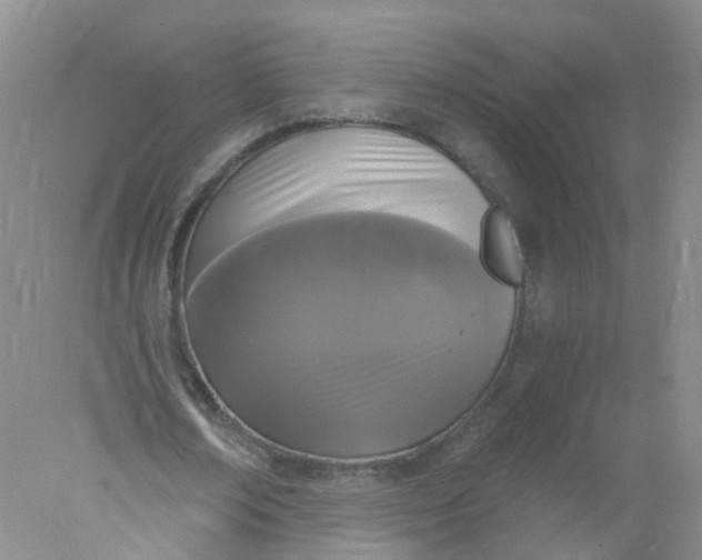 X0000078310674200611172215