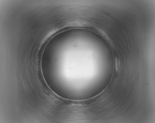 X0000078310675200611172215