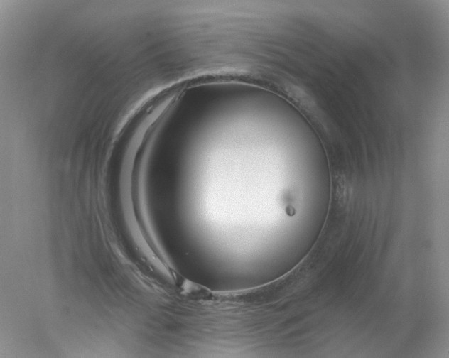 X0000078310676200611172215