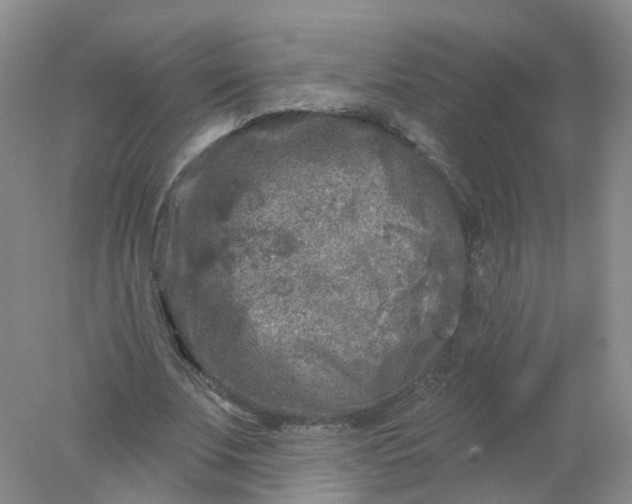 X0000078310679200611172215