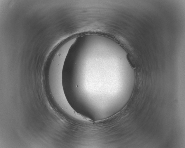 X0000078310680200611172215