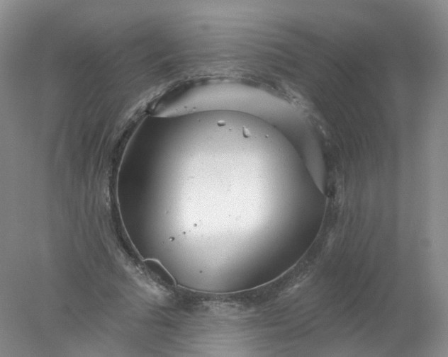 X0000078310681200611172215