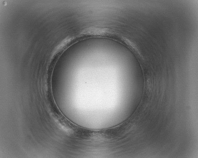 X0000078310682200611172215