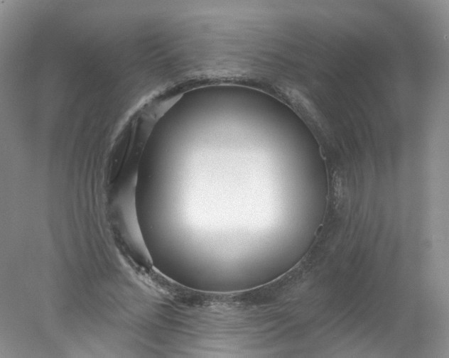 X0000078310684200611172215