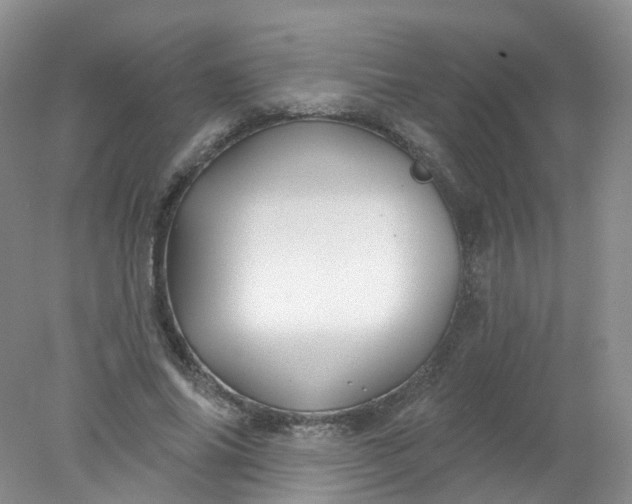 X0000078310686200611172215