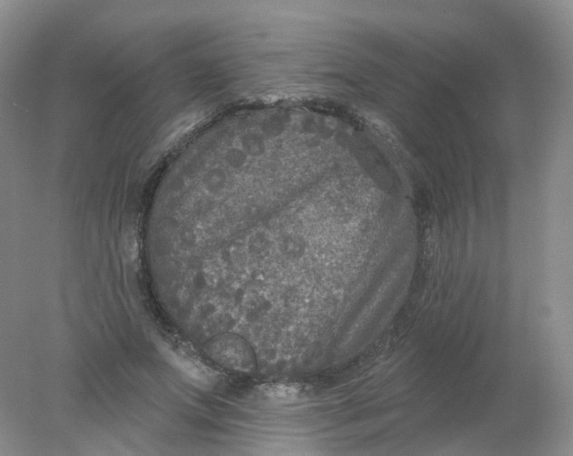 X0000078310687200611172215