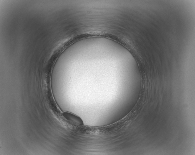 X0000078310688200611172215