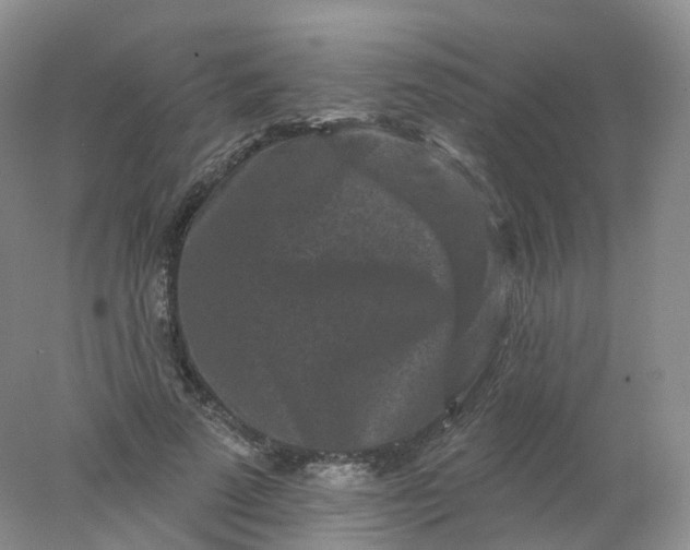 X0000078310689200611172215