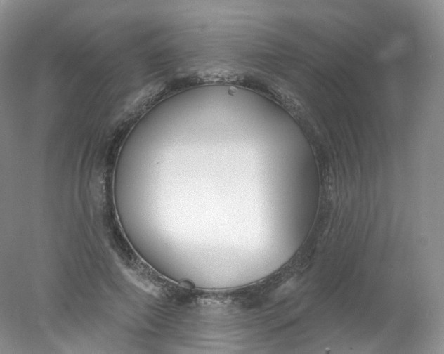 X0000078310690200611172215