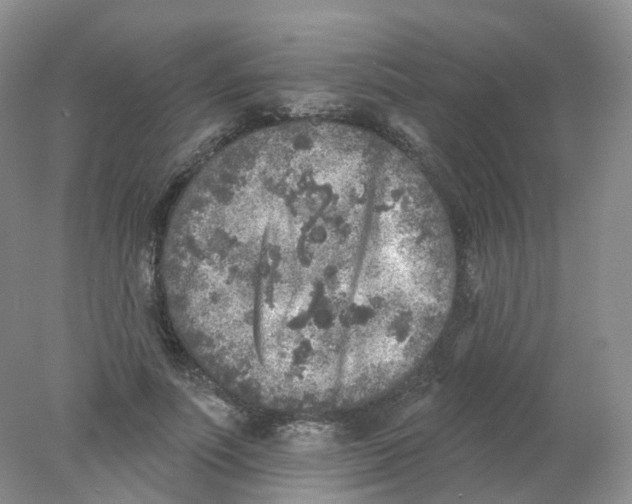 X0000078310691200611172215