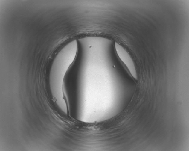 X0000078310692200611172215