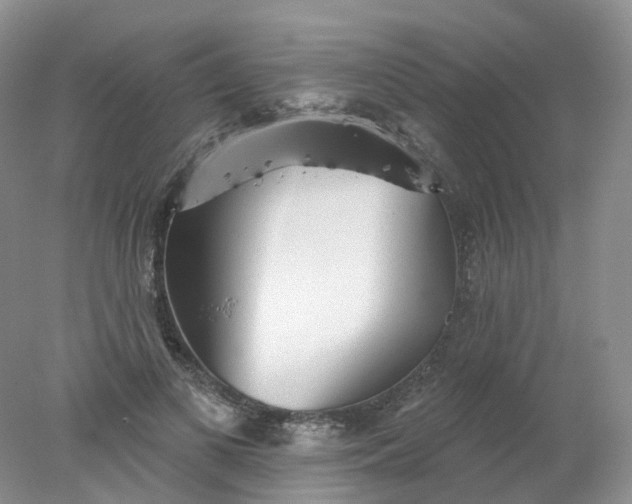 X0000078310693200611172215