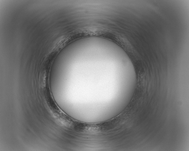 X0000078310694200611172215