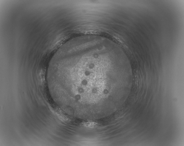 X0000078310695200611172215