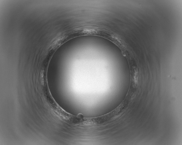 X0000078310696200611172215