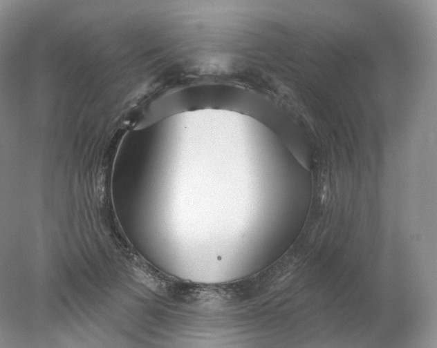 X0000078310697200611172215