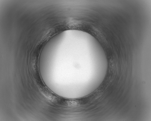 X0000078310698200611172215