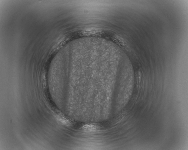 X0000078310699200611172215