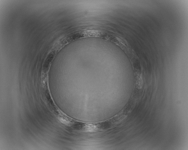 X0000078310701200611172215