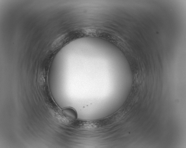 X0000078310702200611172215