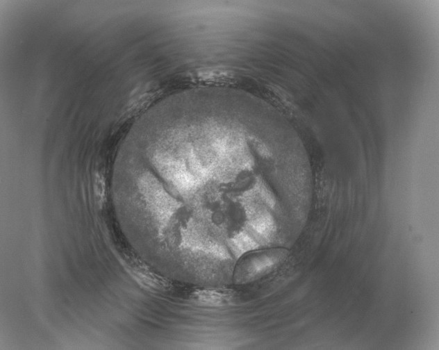 X0000078310703200611172215