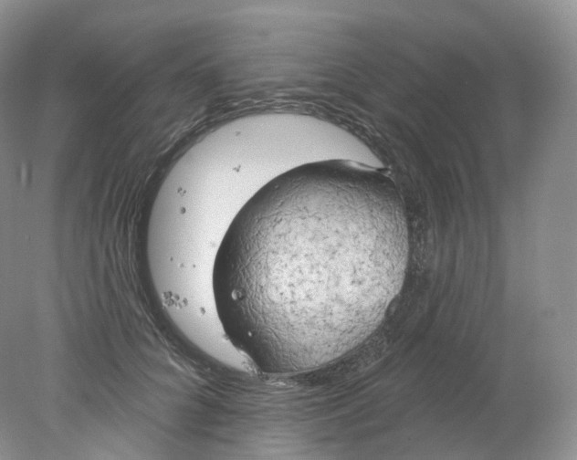 X0000078310704200611172215