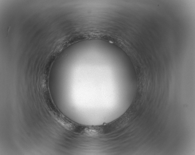 X0000078310706200611172215