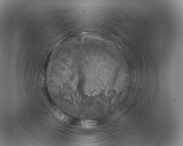 X0000078310707200611172215