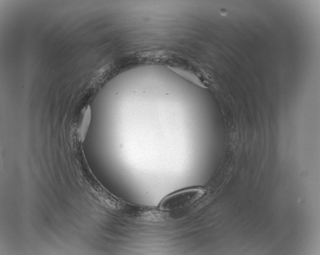 X0000078310708200611172215