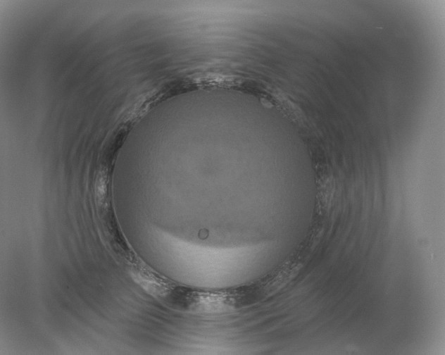 X0000078310709200611172215