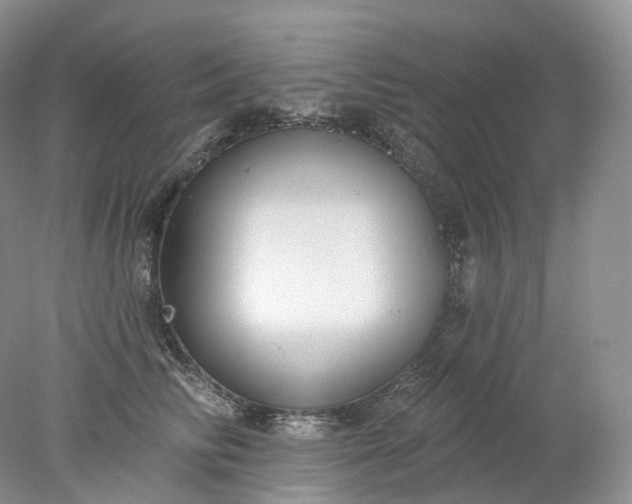 X0000078310710200611172215