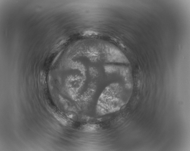 X0000078310711200611172215