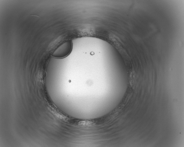 X0000078310714200611172215