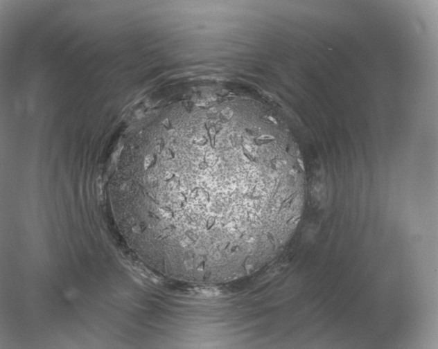 X0000078310715200611172215