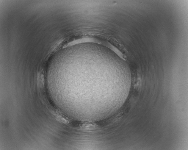 X0000078310716200611172215