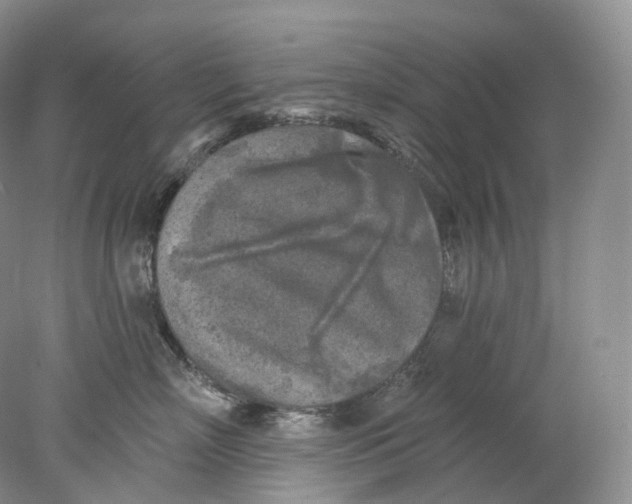 X0000078310718200611172215