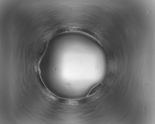 X0000078310719200611172215