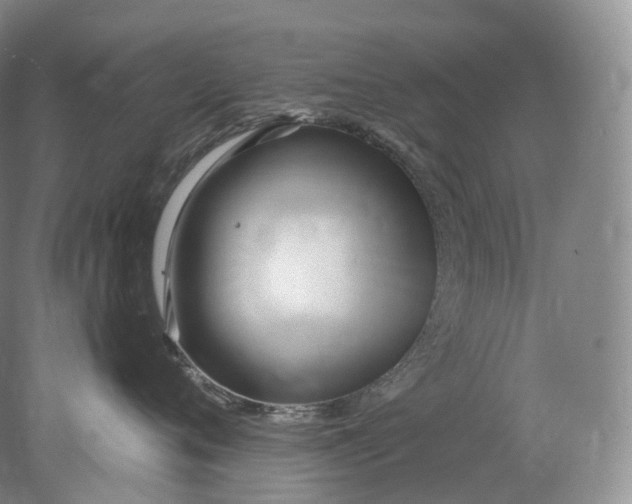 X0000078310720200611172215